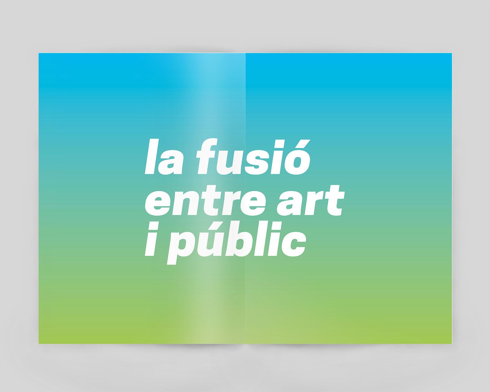 Casa Cultura Girona Biennal Art